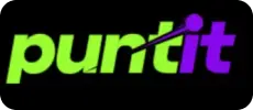 Puntit